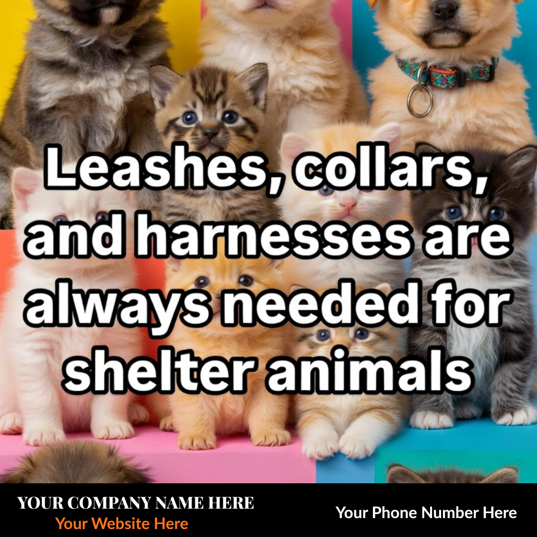 The Post That Makes Your Whole Town Love You — Done-For-You Animal Shelter Templates for Contractors